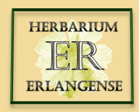 Herbar Logo