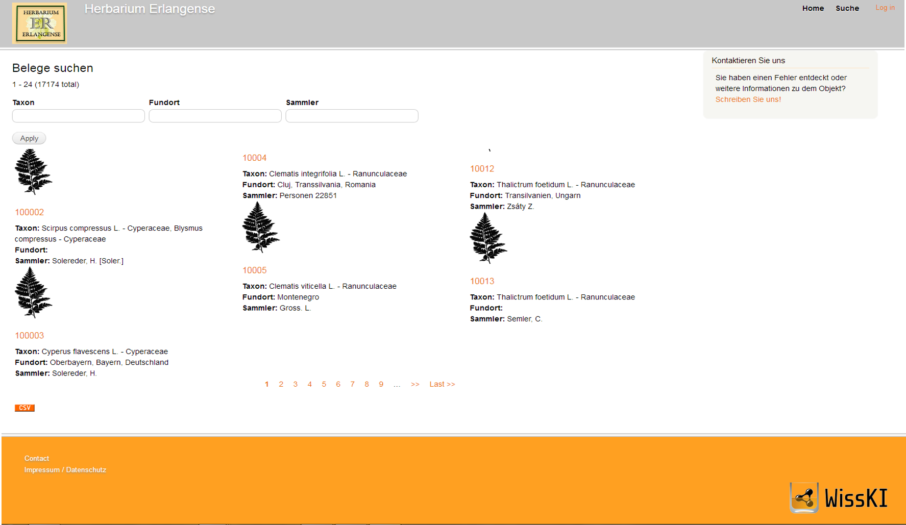 Screenshot Datenbank